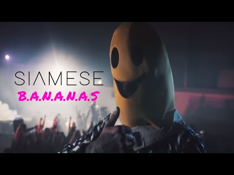 Siamese - B.A.N.A.N.A.S (Official Video)