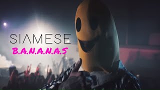 Siamese - B.A.N.A.N.A.S (Official Video)
