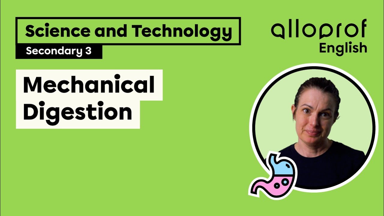 Mechanical Digestion