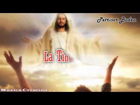 Petrisor Bodea- La Tine vin