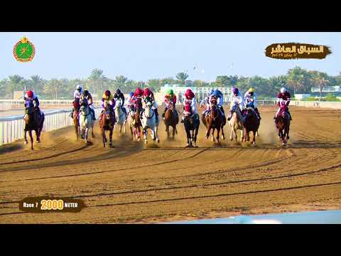 الشوط السابع- السباق العاشر - الرحبة 12/01/2019 Race 7-10th meeting