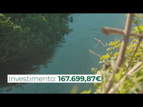 Projeto da Ribeira de Silvares