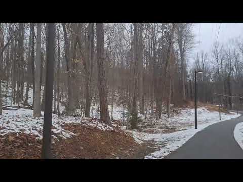 snowy day at Charlottesville Virginia USA