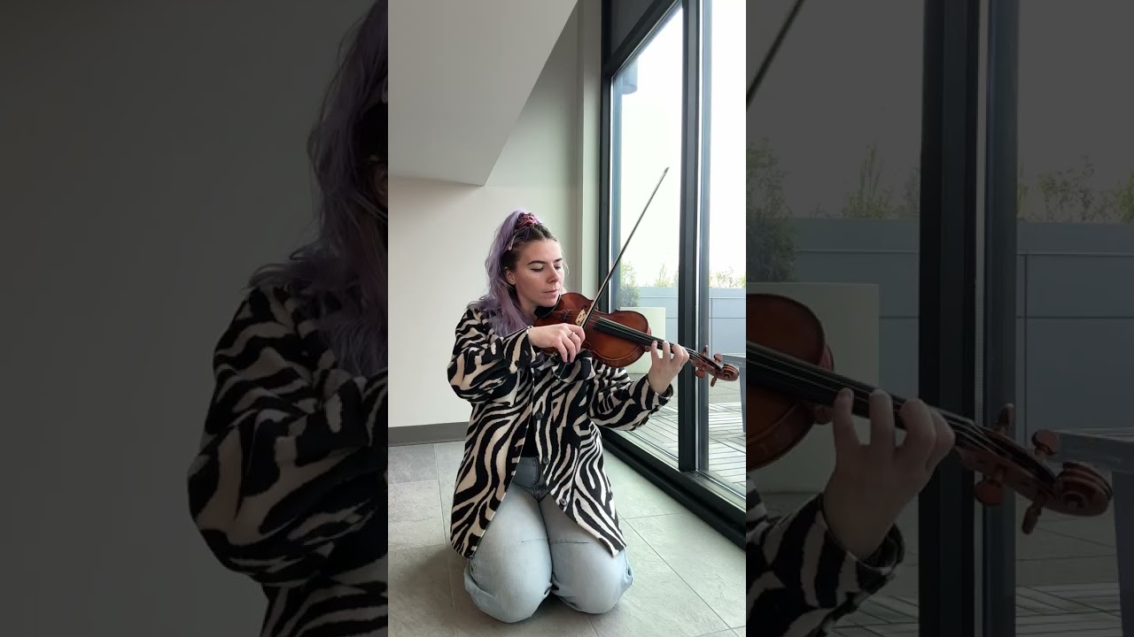 Promotional video thumbnail 3 for The Fiddle Fairy
