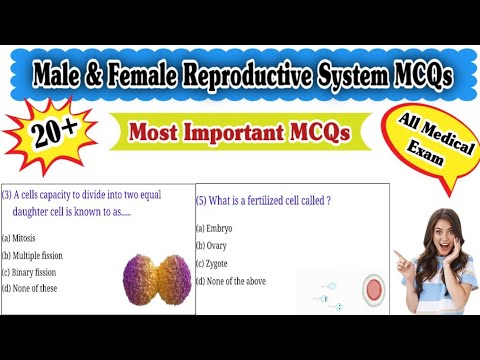 Human General Information Human Anatomy nursing