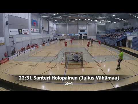 Maalikooste SCH - Tiikerit II