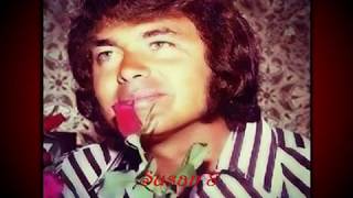 Red Roses for My Lady - Engelbert Humperdinck