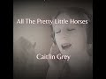 All The Pretty Little Horses - Lullaby- Trad American Folk Song