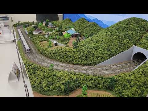 【25109】（特）N2000系 うずしお,（特）185系 新幹線リレー号 「車窓」