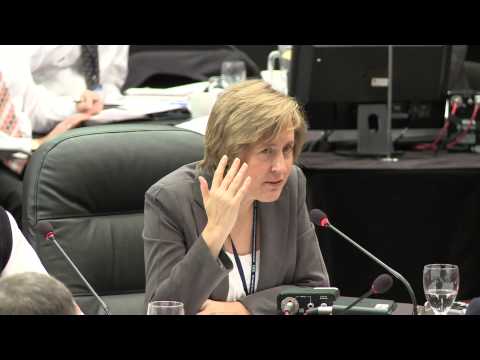 CIGI'11 Energy and Environment Session