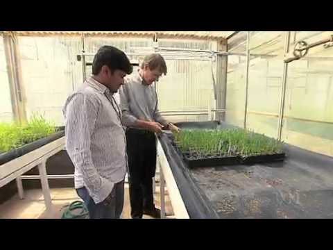 ABC Catalyst S12E24 UG99