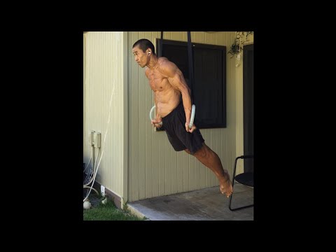 Day 213 FitPro Hawaii Vlog - Ring Dip Lockouts + Pull Ups - December 13, 11:07 am
