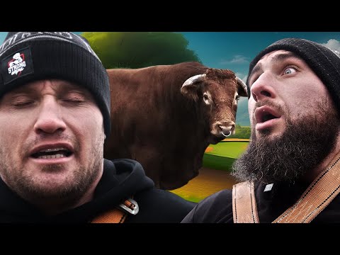 STRONG EKIPA VS BYK PANA ROMKA ZAKLINACZA BYKÓW