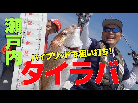 瀬戸内でタイラバ！鯛乃実TGハイブリッドで〇〇サイズを狙い打ち！