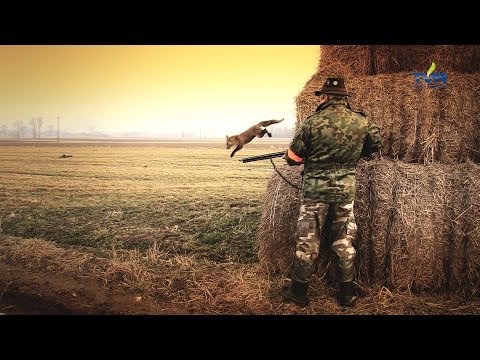 Darz Bór odc. 91 - Polujemy z Niemieckim Terierem Myśliwskim cz. 1