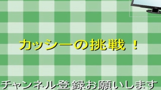 ケンジャさんコラボ PUBG LIVE配信