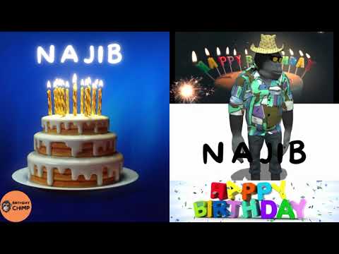 NAJIB Happy Birthday Song and Dance - It's Your Birthday - Happy Birthday to You NAJIB