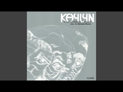 Your Wildest Dream (The slick bass remix by CJ Bolland)