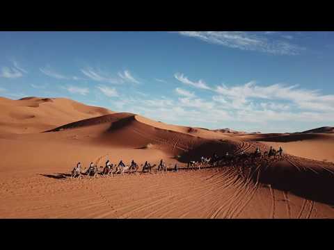 Camel Ride into the Sahara Desert