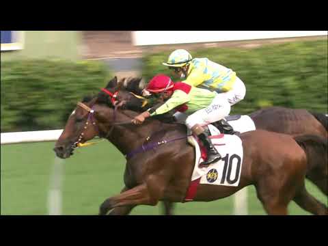 6/6/2021 (735) Diamond Brilliant - K Teetan