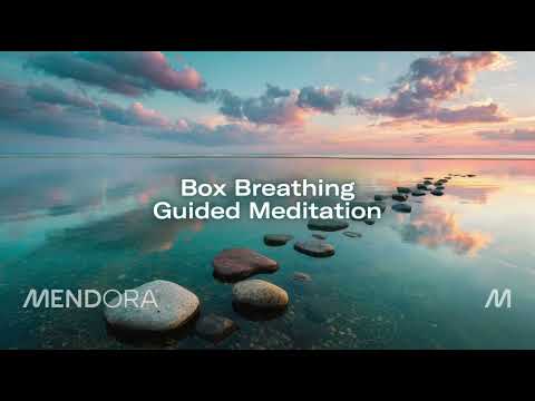 Box Breathing Guided Meditation