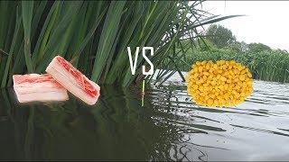 Что ловить на слизьнярио