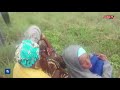 Ndege Ndogo Yaanguka Jijini Mwanza Leo Kando Ya Ziwa Victoria Tazama Video Nzima
