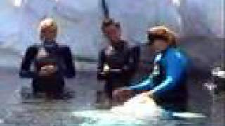 Guaranteed Eternal Sanctuary Man