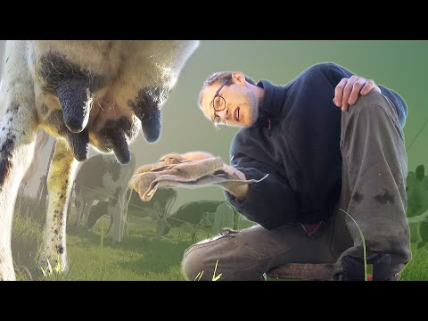 Video Vorschau: Workaway in Norwegen – Ein Tag auf einem Demeter Bauernhof