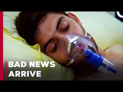 Ozan's Heart Stops - Can't Stop Loving You