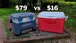 Igloo BMX 25 vs Basic Cooler