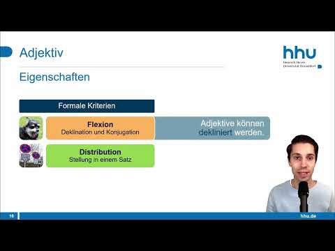 Nomen, Adjektiv, Artikel und Pronomen: Flexion und Distribution | Grammatik