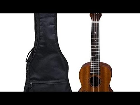 Top 10 Ukuleles You Can Buy  May 2023