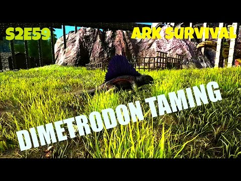 Dimetrodon Taming Guide | (E59) ARK: Survival Evolved