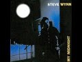 Steve Wynn - In Your Prime