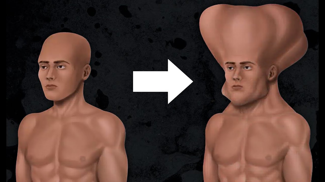 e se HUMANOS fossem FORTES como FORMIGAS?