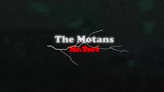 The Motans - Mr. Tort 🔊 (slowed + reverb)