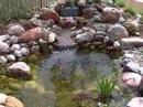 Backyard Water Garden Koi Pond Installation in Westfield, NJ