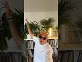 House Tip of the Day: Babyspoon - BamBam (2024) ☀️🕺🏽#dj #tipoftheday #techhouse #dance