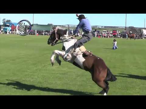 Villa Mantero 2025 - Ruedo Categ. Basto - Clasif. x C. del Uruguay e  Ibicuy - 28 / 9 / 2025