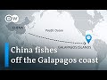 Large fleet of Chinese fishing vessels encroaches on South American waters at Galapagos Islands
