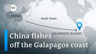 Large fleet of Chinese fishing vessels encroaches on South American waters at Galapagos Islands