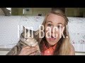 I'M BACK | Update on the blog and channel