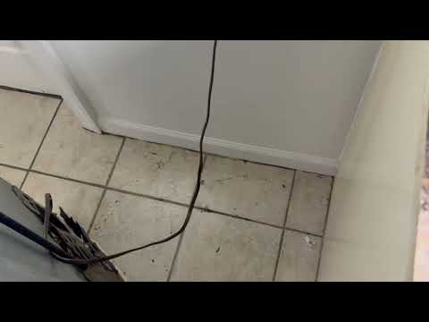 Treating for Cockroaches in the Kitchen in Spotswood, NJ