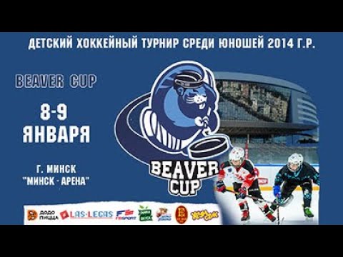 8.01.2022. BC2014. ЦС. Сталкер - СДЮШОР Р.С.-3