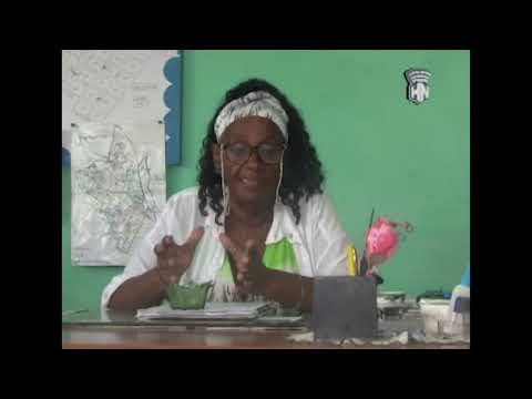 Municipio 10 de Octubre realiza acciones de control ante incremento de arbovirosis.