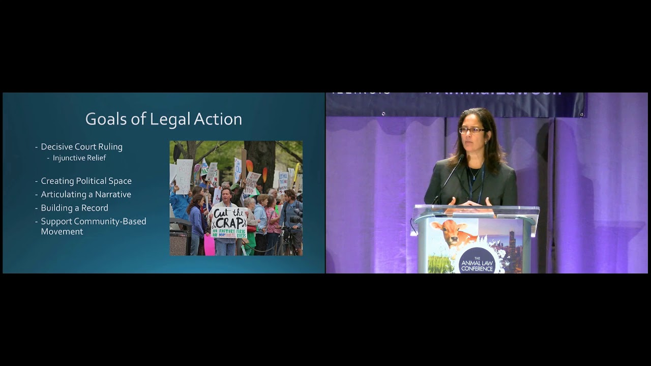 Collateral Damage: Factory Farming Impacts Beyond the Animals