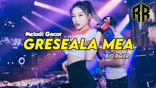 Download lagu MELODI CANDU!! GRESEALA MEA REMIX 2025 - RIO RMXR (BASSGANGGA) mp3 Download lagu MELODI CANDU!! GRESEALA MEA REMIX 2025 - RIO RMXR (BASSGANGGA) mp3