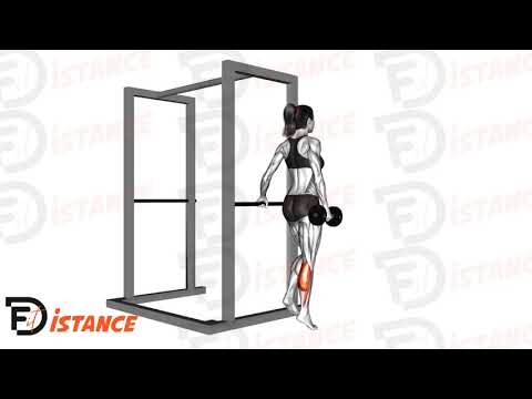 Exercice Élévation de mollet sur une jambe avec haltère