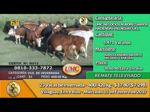 15-02-17 - VENTA DE VIENTRES - TELEVISADO UMC Y HACIENDAS VILLAGUAY S.R.L.